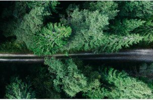 Sustainability Report 2018
