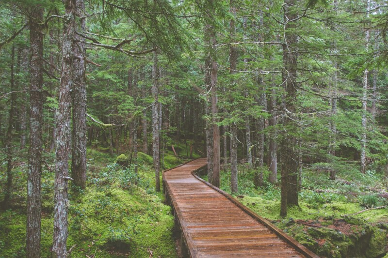 Sustainability Report 2019